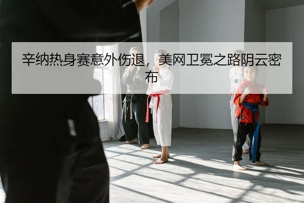 辛纳热身赛意外伤退，美网卫冕之路阴云密布